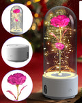 Mothers Day Gift 2 In 1 Rose Flowers LED Light And Bluetooth Speaker Gift Luminous Night Light Ornament In Glass Cover - Ozthentic