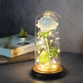 Mothers Day Gift Enchanted Forever Rose Flower In Glass LED Light - Ozthentic