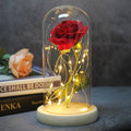 Mothers Day Gift Enchanted Forever Rose Flower In Glass LED Light - Ozthentic