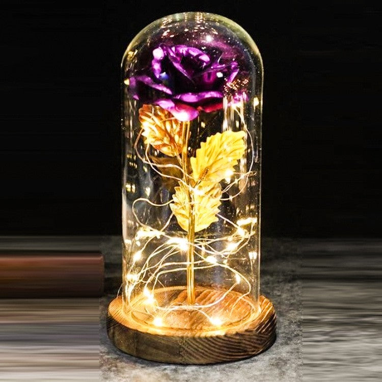 Mothers Day Gift Enchanted Forever Rose Flower In Glass LED Light - Ozthentic