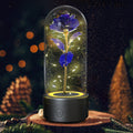 Mothers Day Gift 2 In 1 Rose Flowers LED Light And Bluetooth Speaker Gift Luminous Night Light Ornament In Glass Cover - Ozthentic