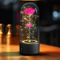 Mothers Day Gift 2 In 1 Rose Flowers LED Light And Bluetooth Speaker Gift Luminous Night Light Ornament In Glass Cover - Ozthentic