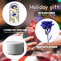 Mothers Day Gift 2 In 1 Rose Flowers LED Light And Bluetooth Speaker Gift Luminous Night Light Ornament In Glass Cover - Ozthentic